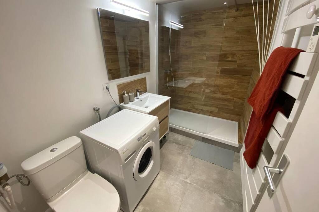 Place De Metz, Hyper-Centre Grenoble, Studio 25 M2 Dış mekan fotoğraf