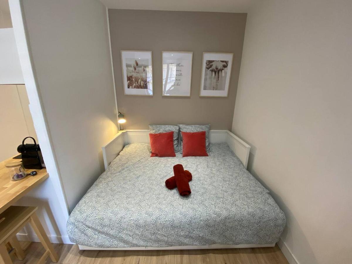 Place De Metz, Hyper-Centre Grenoble, Studio 25 M2 Dış mekan fotoğraf